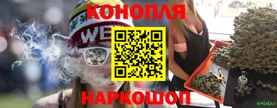 дмт Нягань