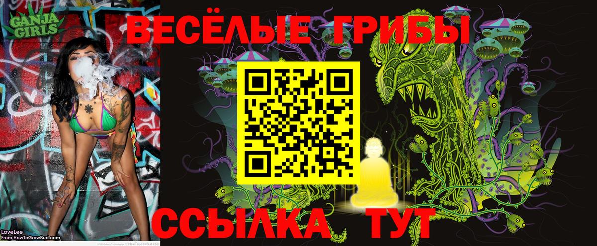Сокол  Галлюциногенные грибы MAGIC MUSHROOMS  Вход с VPN 