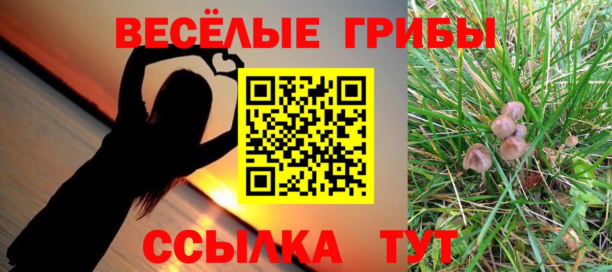 ГАШИШ  Вход с VPN  Конопля  Мефедрон   Alpha PVP СОЛЬ кристаллы  Гашиш  Сокол  Экстази  Где найти наркотики?  МЕТАМФЕТАМИН  Амфетамин кристаллы 